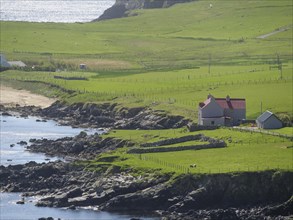 Red house in the middle of green fields near a rocky coast, overlooking the sea, green meadows on a