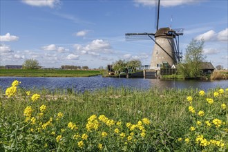 Landscape with windmill and yellow flowers on the river bank under a blue sky, many historic