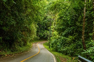 Two lane paved country road through rainforest in Thailand in Thailand
