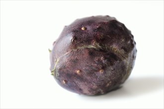 Zanzibar yam or Zanzibar yam (Dioscorea sansibarensis), tuber on a white background