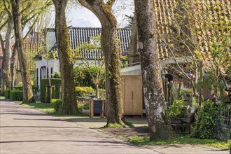 Tree-lined street with houses and gardens on a sunny spring day, historic houses and a church with