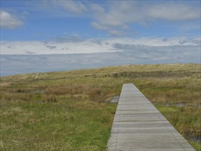 A long wooden path stretches through grassy dunes under a blue sky with clouds, wooden path through