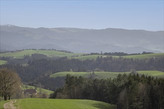 Mountains and trails in the Black Forest, Kandel, Baden-Wuerttemberg, Germany, Europe