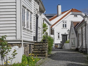 Narrow cobbled street lined with white wooden houses, flowers and a clear blue sky, white wooden
