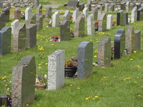 Row of gravestones on a green lawn with spring flowers in a quiet environment, old stone church and