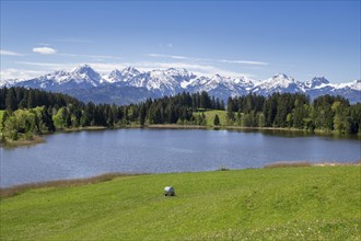 Hegratsrieder See near Fuessen, Allgaeu Alps, snow, forest, Ostallgaeu, Buching, Allgaeu, Bavaria,