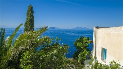 Seaside view with lush vegetation overlooking a calm sea with islands in the distance