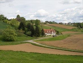 Farmland at the edge of a forest, near Riegersburg, Styria, Austria, Europe