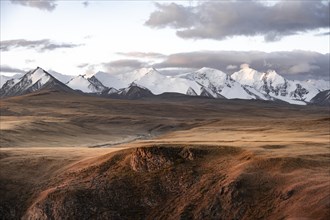 Glaciated and snow-covered mountains, autumnal plateau with yellow grass, Tian Shan, Sky Mountains,