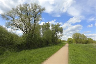 Landscape and cycle path with clouds on the southern shore of the Duemmer, inland lake, Huede,