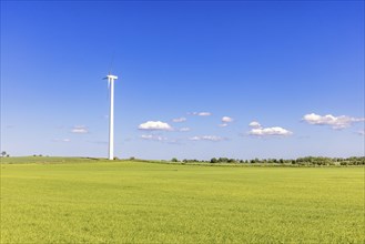 Wind turbine in a cultivated field in the countryside on a sunny summer day