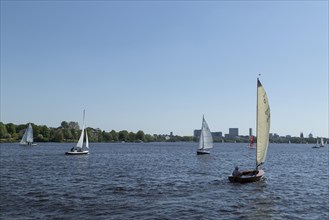 Symbolic picture weather, leisure activity, summery spring, sailing boats in front of blue sky on