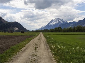 Farmland, field path in a meadow, behind the Grimming, near Woerschach, Ennstal, Styria