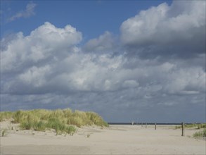 Sand dunes with grass and a wide view of the sea under a cloudy sky, lonely beach with dune grass