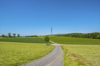 A clear summer day with a path through green fields and meadows, surrounded by trees and a power