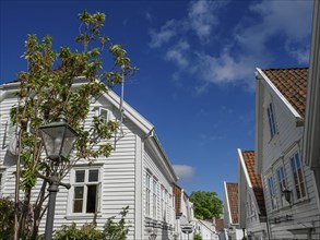 White houses under a clear blue sky with a street lamp and a tree in the background, white wooden