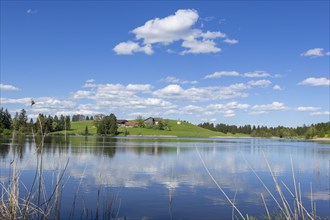 Hegratsrieder See near Fuessen, Allgaeu Alps, farm, blue cloudy sky, Allgaeu, Bavaria, Germany,