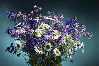 Bouquet of wildflowers close up