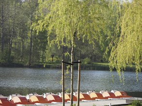 Pedal boats in orange and white are moored in front of a calm lake and green trees, rowing boats