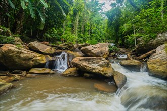 Closeup of river in rainforest flowing rapidly over large boulders with lush green foliage in