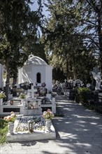 A white chapel surrounded by tombstones and an angel statue in a peaceful cemetery, Lindos, Rhodes,