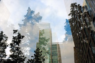 Double exposed image of skyscrapers and trees, Canary Wharf, London, England, Great Britain