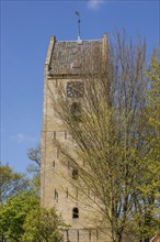 A bell tower towers over young spring trees blossoming in the sunlight, historic houses and a