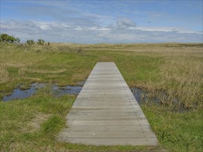 A narrow wooden walkway leads through a wide meadow landscape under a slightly cloudy sky, dunes