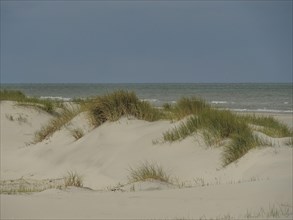 Sand dunes with reeds and calm sea in the background, dunes by the sea with clouds in the blue sky,