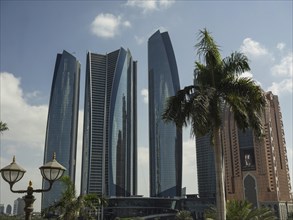 Modern skyscrapers with palm trees in the foreground under a sunny sky, modern skyscrapers with