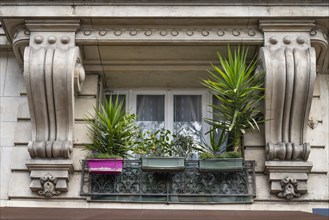Balcony with plants, classicist building, Montparnasse, Paris, France, Europe
