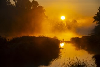 Morning atmosphere, fog, sunlight, backlight, water, Lower Austria