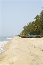 Colourful fishing boats on Cherai Beach or beach, Vypin Island, Kochi, Kerala, India, Asia