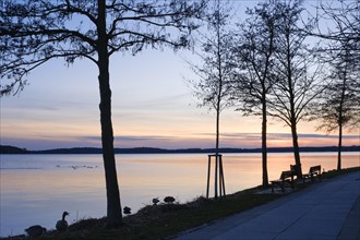 Evening mood at Lake Mueritz, Waren, Mueritz, Mecklenburg Lake District, Mecklenburg,