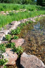 Pond in the natural garden, practical nature conservation, biotope for insects, amphibians and