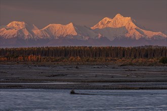 Wild river in front of high mountains in the morning light, autumn, Alaska Range, Alaska, USA,