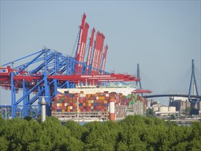 Container harbour with loaded ships, bridge and trees in the foreground under blue sky, cranes and