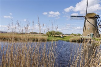 A windmill next to a body of water, surrounded by reeds under a sunny blue sky, many historic