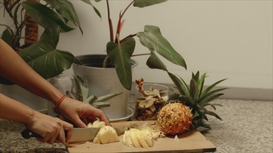 A person is slicing a pineapple on a cutting board next to an indoor plant