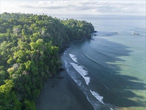 Aerial view, ocean and coast with rainforest, Playa Ventanas, Puntarenas province, Costa Rica,