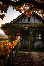 Rustic vineyard cottage nestled in a canopy of vines leaves showcasing autumns color palette in the