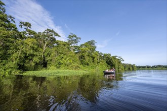 Excursion boat with tourists in the Tortuguero River, dense rainforest and river landscape, green