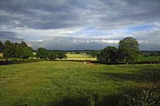 Landscape with rain clouds in Netherseal, South Derbyshire, England, Great Britain