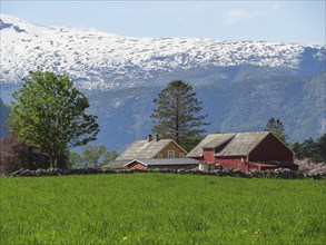Farmhouse surrounded by green meadows and trees against a backdrop of snow-capped mountains, spring