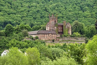 Mittelburg, four-castle town of Neckarsteinach, Baden-Wuerttemberg, Germany, Europe