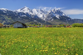 Spring meadow with hay barns at the edge of the village in front of Zugspitzgruppe 2962m in