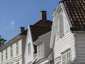 White wooden houses with open windows and chimneys under a blue sky, white wooden houses with green