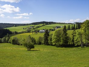 Meadows at the edge of the forest, farmhouses, near St. Jakob im Walde, Joglland, Styria, Austria,