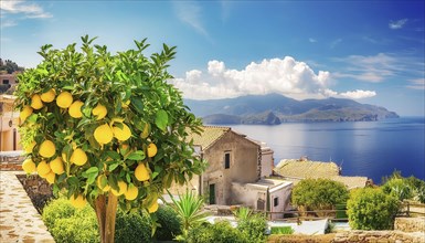 Lemon tree with ripe fruit in a Mediterranean landscape AI generated, AI generated