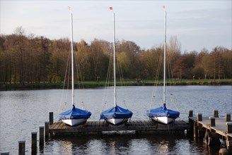 Three moored sailing boats at a wooden pier on a calm lake surrounded by autumnal trees, rowing